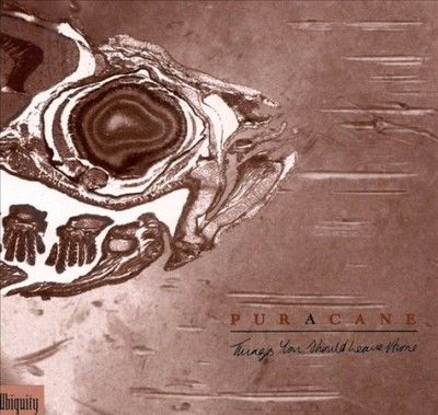 Puracane - Things You Should Leave Alone (Vinyl)