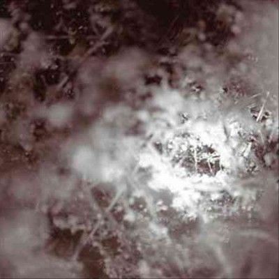 Mike Weis - Don't Know, Just Walk (Vinyl)