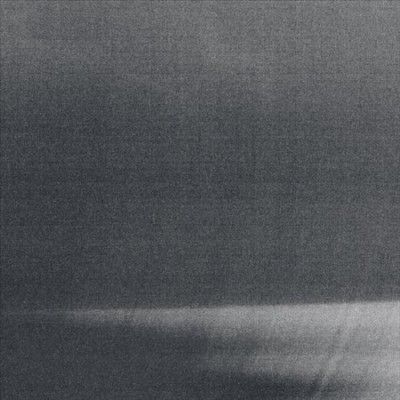 Austin Buckett - Grain Loops (Vinyl)