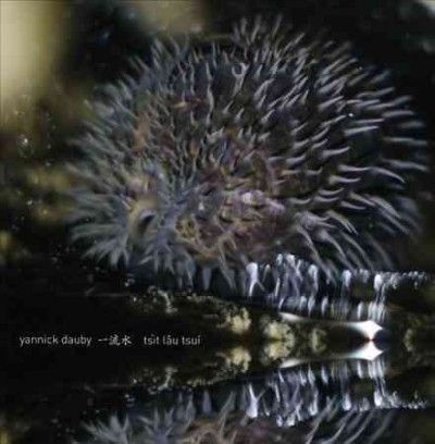 Yannick Dauby - Penghu Experimental Sound Studio V 1 (Vinyl)
