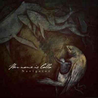 Navigator (Vinyl / 12" Album)