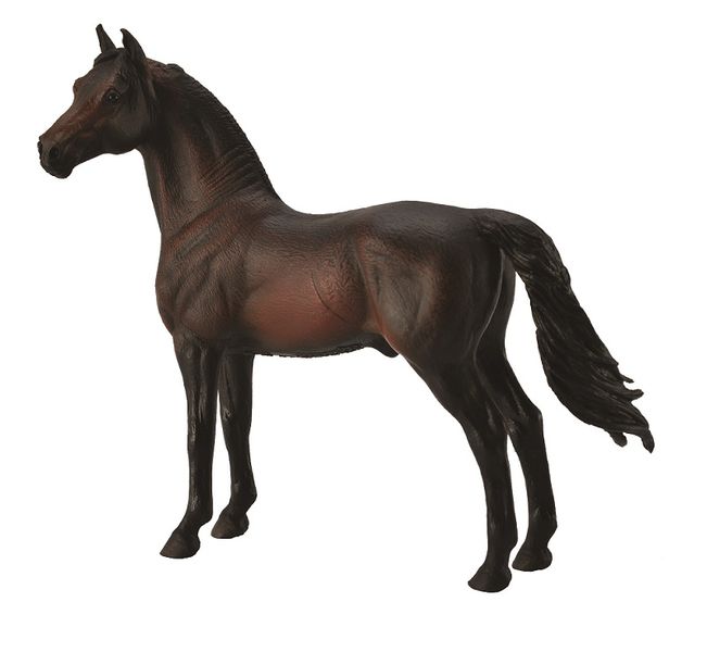 Collects Lf Morgan Stallion-Bay - XL