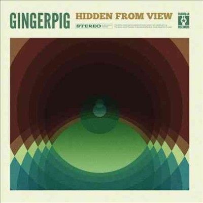 Hidden from View - (Import Vinyl Record)