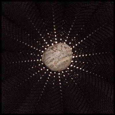 Nat Baldwin - In The Hollows (Vinyl)