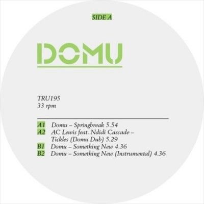 Spring Break - (Import Vinyl Record)