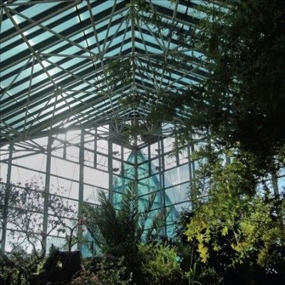 Bee Mask - When We Were Eating Unripe Pears (Vinyl)