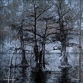 Nathan Bowles - Nansemond (Vinyl)
