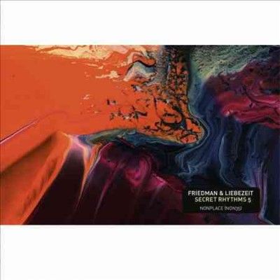 Burnt Friedman - Secret Rhythms 5 (Vinyl)