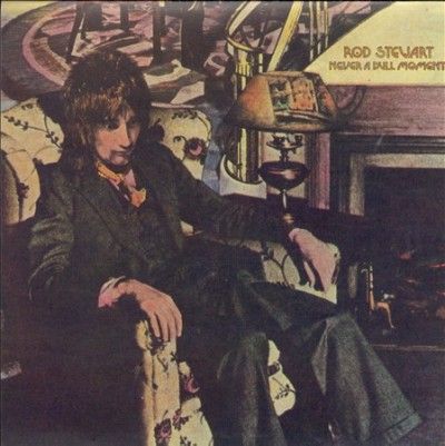 Rod Stewart - Never A Dull Moment (Vinyl)