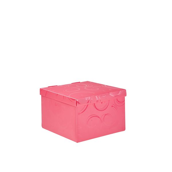 Meeco Creative Collection P.P Medium Size Storage Box - Pink
