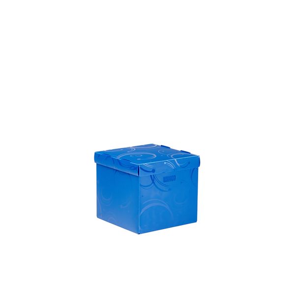 Meeco Creative Collection P.P Small Size Storage Box - Blue