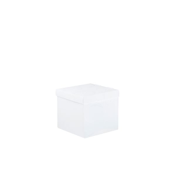 Meeco Creative Collection P.P Small Size Storage Box - White