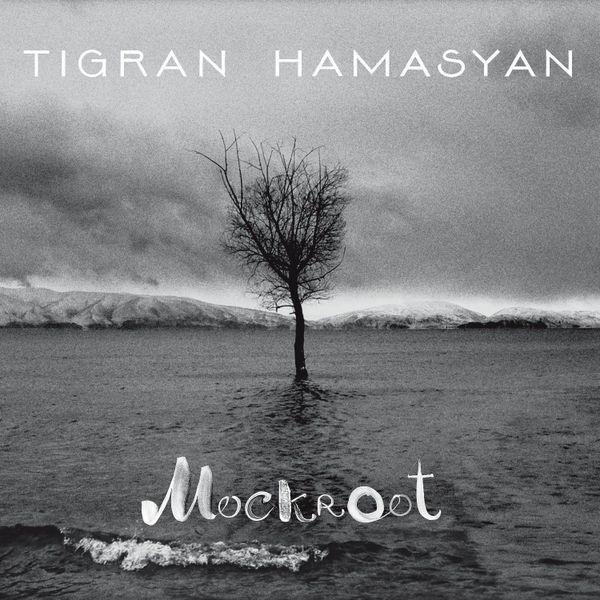 Tigran Hamasyan