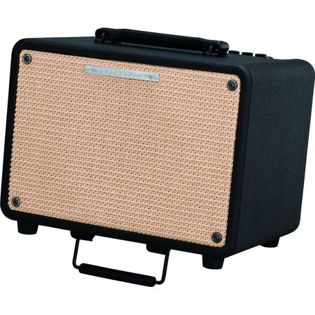 ibanez acoustic amp