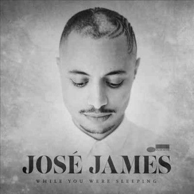 Jose James - While You Were Sleeping (Vinyl)