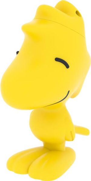 Emtec Woodstock Flash Drive - 8GB