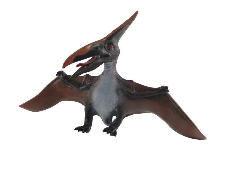Jeronimo Dinosaur Pterodactyl