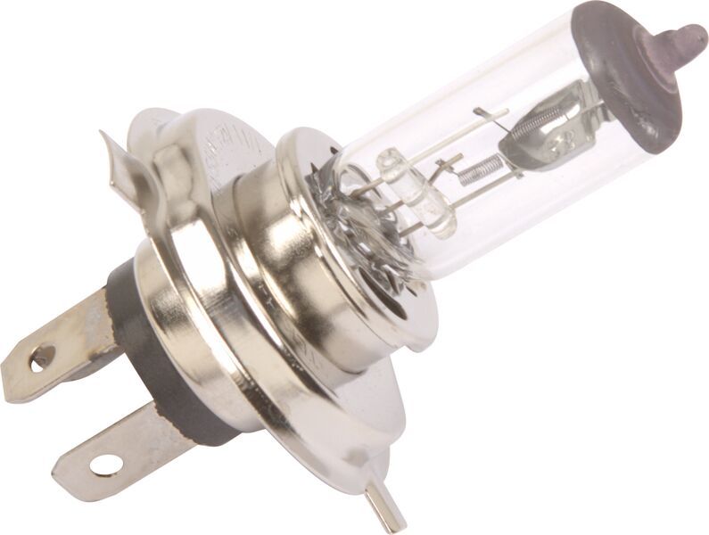 Motoquip - Halogen Globe P43T 55 Watt - Headlight