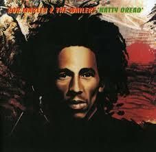 Natty Dread (Vinyl / 12" Album)