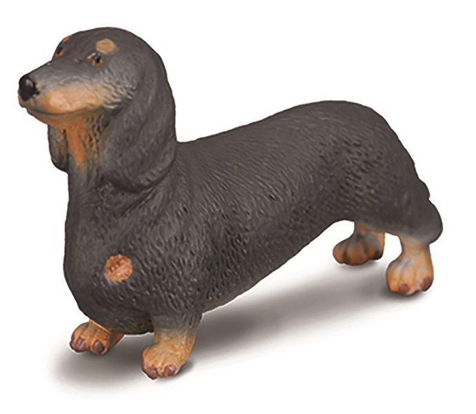 Collecta Cats&amp;Dogs-Dachshund-S