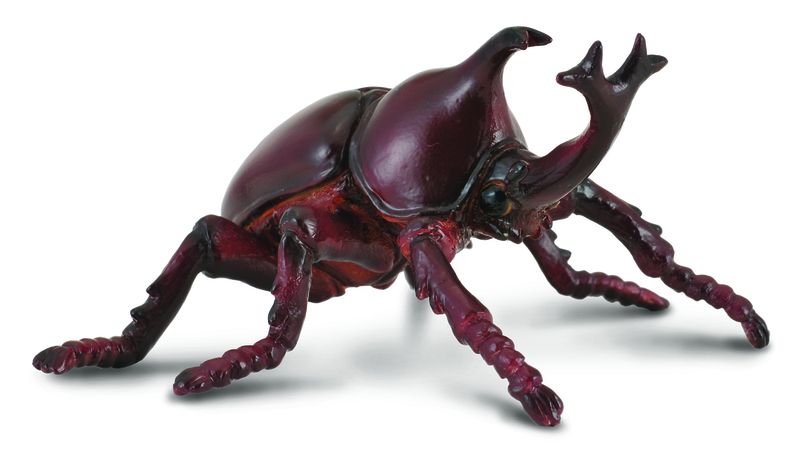 Collecta Insects-Rhinoceros Beetle-M
