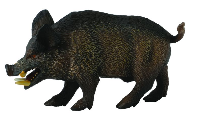 Collecta Woodlands-Wild Boar -M