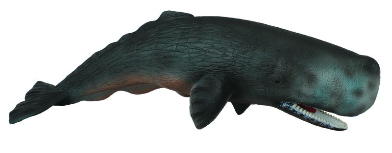 Collecta Sea Life-Sperm Whale-Xl