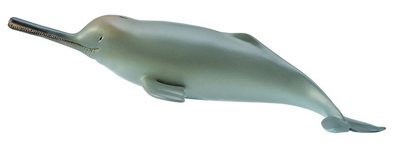 Collecta Sea Life-Ganges River Dolphin-M