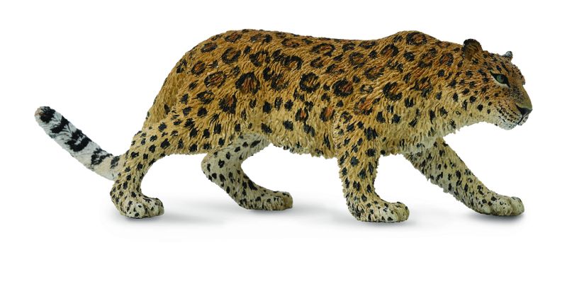 Collecta Wildlife-Amur Leopard -Xl