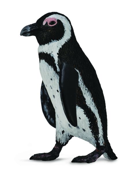Collecta Sea Life-South African Penguin-S