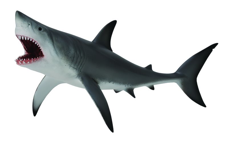 Collecta Sea Life-Great White Shark - Open Jaw-Xl