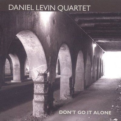 Daniel Levin - Don't Go It Alone (CD)