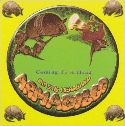 Shiva's Headband - Coming To A Head (CD)