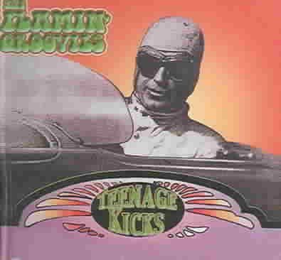 Flamin Grooves - Teenage Kicks (CD)