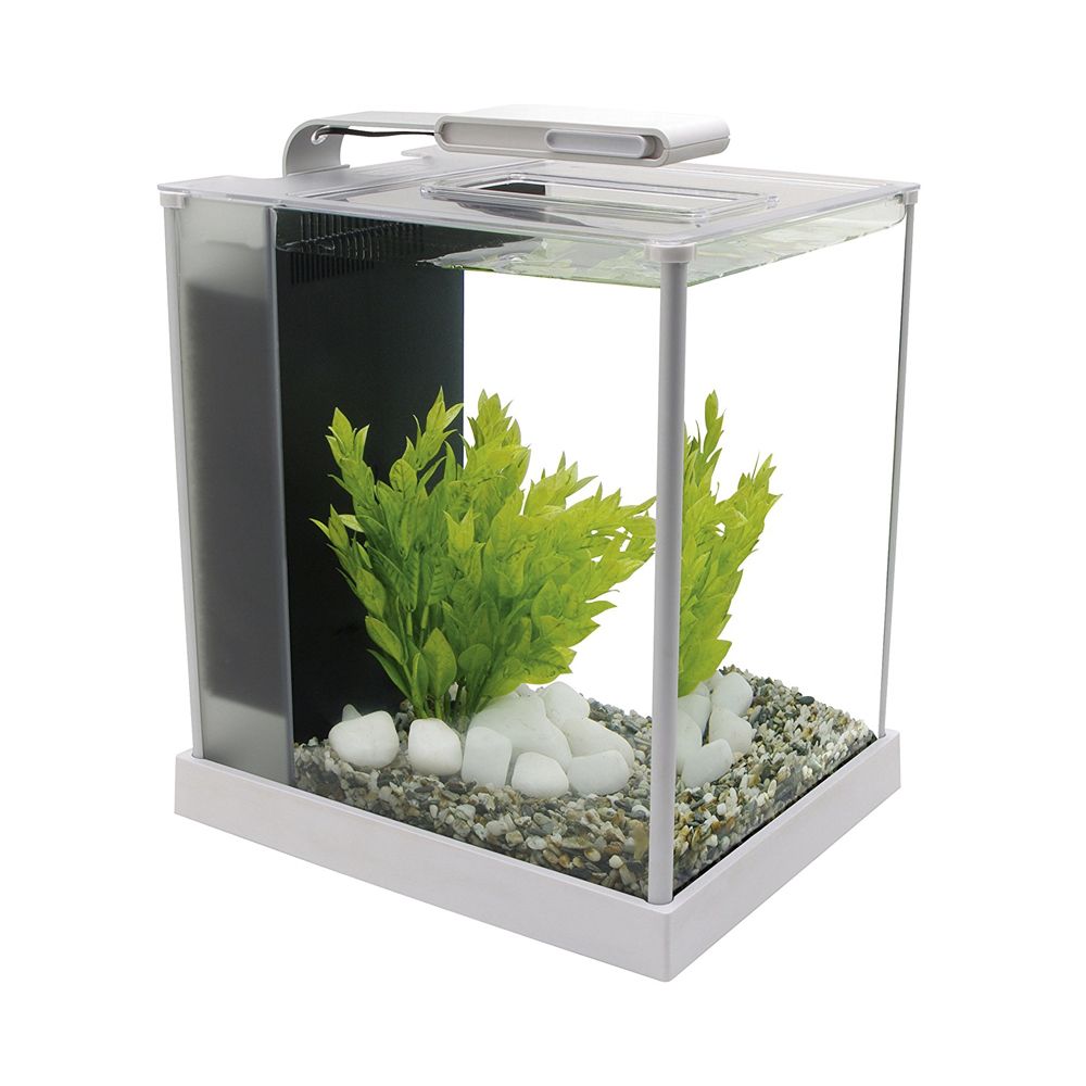 Fluval - Spec 3 Glass Aquarium - White | Shop Today. Get It Tomorrow ...