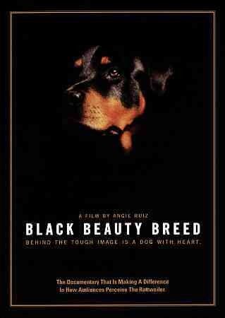 Angie Ruiz - Black Beauty Breed (DVD)