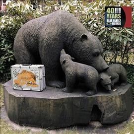 Various - 40 Years: Bear Family Records (CD)