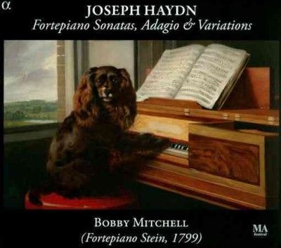 Joseph Haydn: Fortepiano Sonatas, Adagio &amp; Variations (CD / Album)
