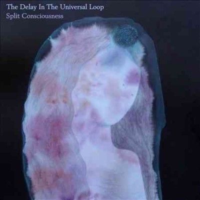 Delay In The Univers - Split Consciousness (CD)