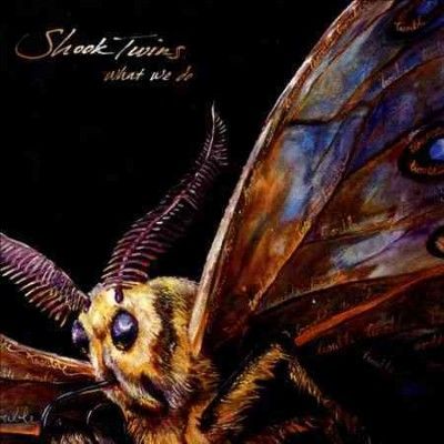 Shook Twins - What We Do (CD)