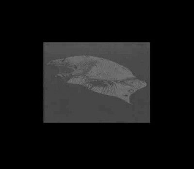 Uncertainty (CD / Album)
