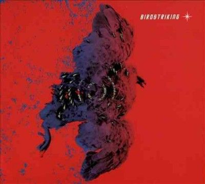 Birdstriking (CD / Album)