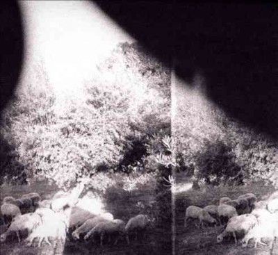 Godspeed You Black E - Asunder Sweet And Other Distress (CD)