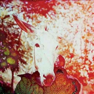 Jerusalem In My Hear - If He Dies If If If If If If (CD)
