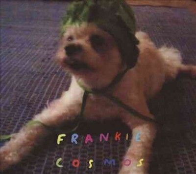 Frankie Cosmos - Zentropy (CD)