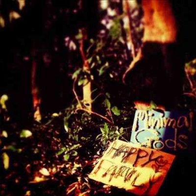 Happy Family - Minimal Gods (CD)