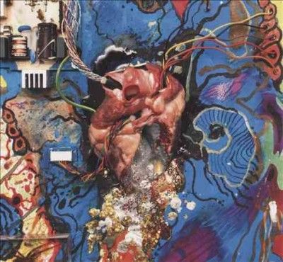 Timmy's Organism - Heartless Heathen (CD)