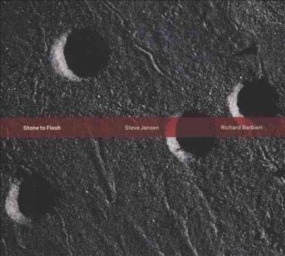 Steve Jansen - Stone To Flesh (CD)