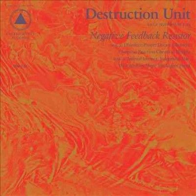 Destruction Unit - Negative Feedback Resistor (CD)