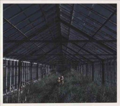 Foxing - Dealer (CD)